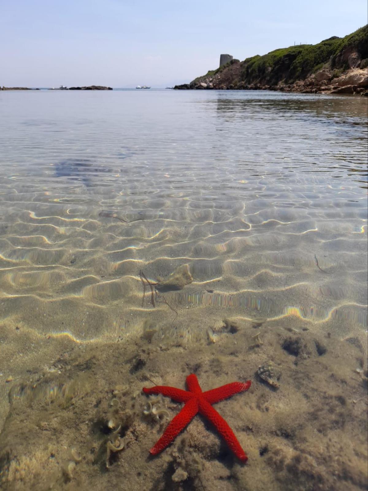 Carpe Diem Oristano Bagian luar foto