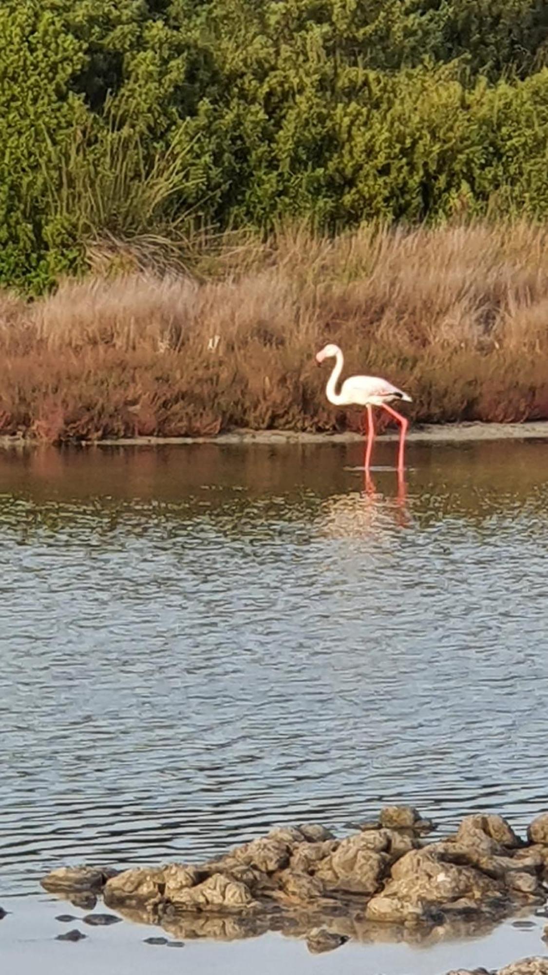 Carpe Diem Oristano Bagian luar foto